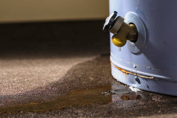 Best Carpet and Upholstery Water Damage Restoration in Hazleton, PA